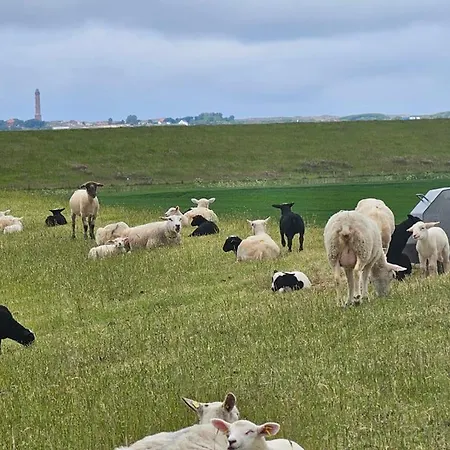 Strandbrise Apartamento